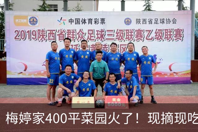 梅婷家400平菜园火了！现摘现吃连颖儿都吃到礼服扣不上